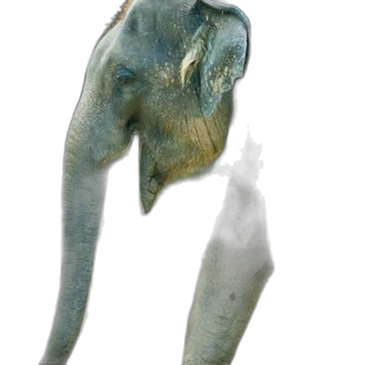 animal, creature, mask, staff, photorealistic, concept art, 3d render, oil painting transparent PNG cut-out