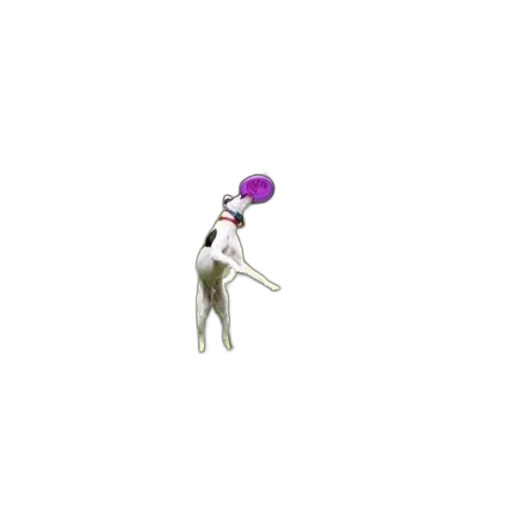 staff, umbrella, creature, animal, pixel art, concept art, 3d render, vaporwave transparent PNG cut-out
