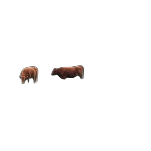 animal, furniture, creature, hair, 3d render, pixel art, concept art, photorealistic transparent PNG cut-out
