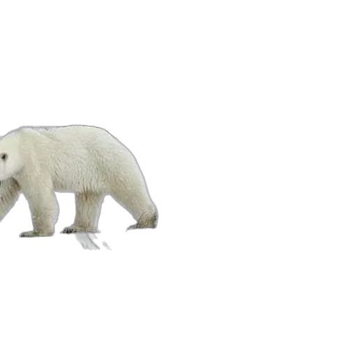 animal, creature, weapon, car, concept art, 3d render, pixel art, photorealistic transparent PNG cut-out