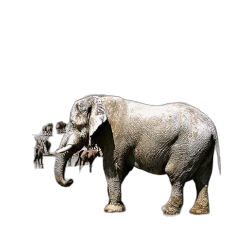 animal, creature, staff, weapon, concept art, photorealistic, 3d render, majestic transparent PNG cut-out