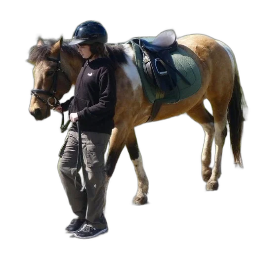 jacket, staff, animal, umbrella, person, black, hoodie, helmet transparent PNG cut-out