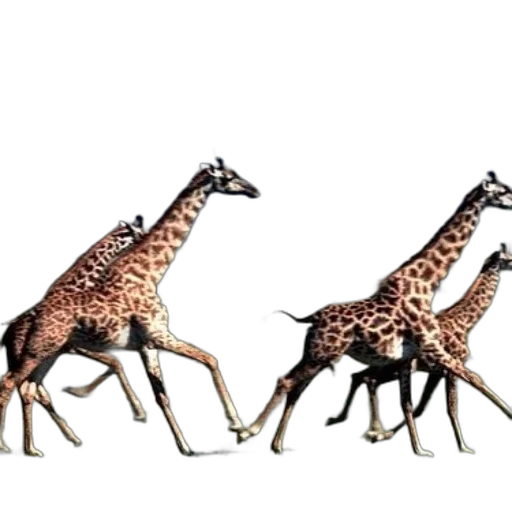 animal, creature, jewelry, umbrella, concept art, 3d render, photorealistic, watercolor transparent PNG cut-out