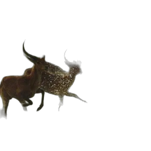 animal, dragon, creature, hair, 3d render, concept art, photorealistic, image transparent PNG cut-out