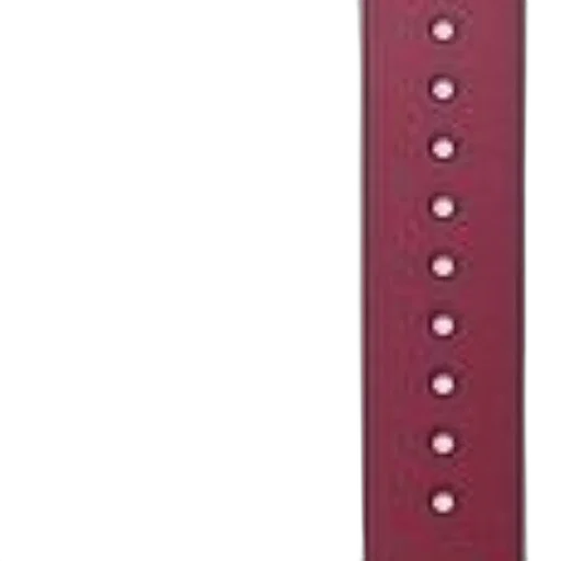 staff, jewelry, furniture, red, leather, strap, nine, evenly transparent PNG cut-out