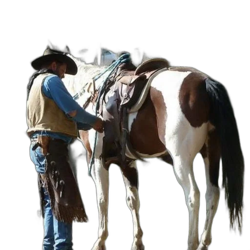 staff, animal, hat, jacket, photorealistic, concept art, 3d render, oil painting transparent PNG cut-out