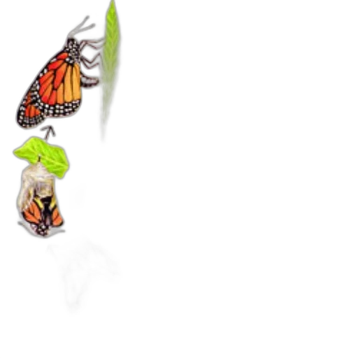 jewelry, staff, animal, food, 3d render, concept art, photorealistic, pixel art transparent PNG cut-out