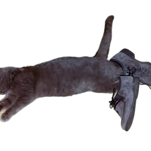 staff, animal, weapon, creature, photorealistic, concept art, 3d render, underwater transparent PNG cut-out