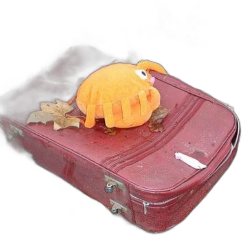 creature, red, suitcase, orange, stuffed, animal, top, surrounded transparent PNG cut-out