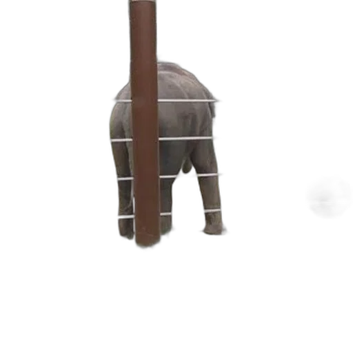 animal, weapon, umbrella, creature, 3d render, concept art, photorealistic, oil painting transparent PNG cut-out