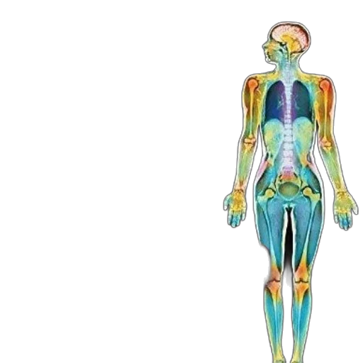 cover, pathophysiology, disease, introduction, clinical, medicine, stephen, mcphee transparent PNG cut-out