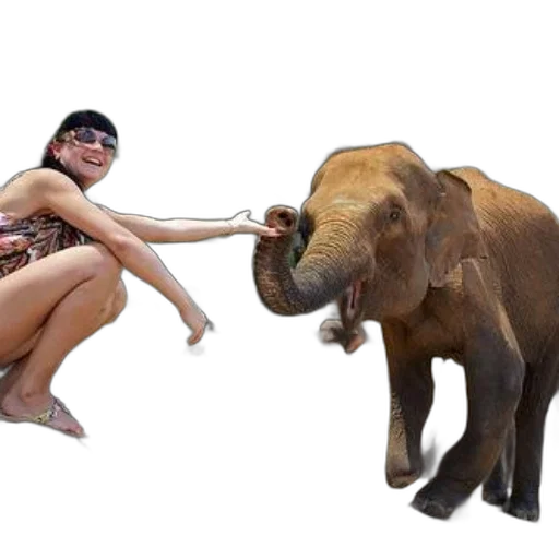 animal, creature, photorealistic, 3d render, concept art, woman, bikini, sunglasses transparent PNG cut-out