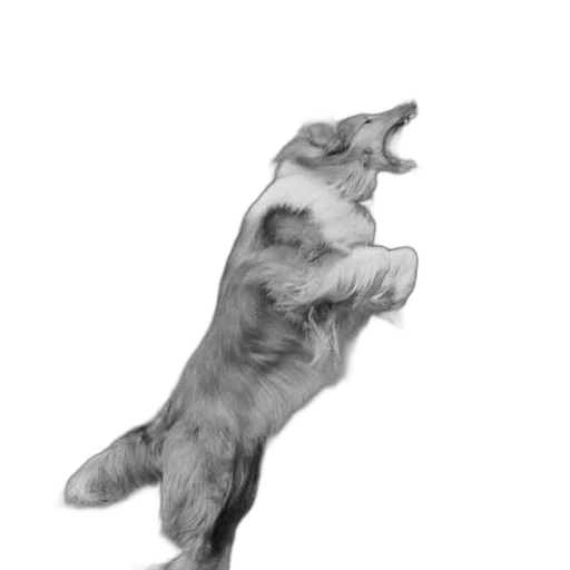 animal, creature, staff, dragon, photorealistic, pencil sketch, concept art, 3d render transparent PNG cut-out