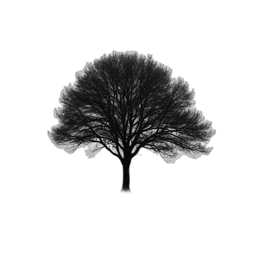 tree, crown, hair, hat, photorealistic, 3d render, concept art, pencil sketch transparent PNG cut-out