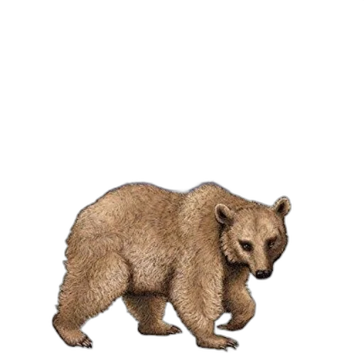 animal, creature, staff, weapon, pixel art, concept art, photorealistic, watercolor transparent PNG cut-out