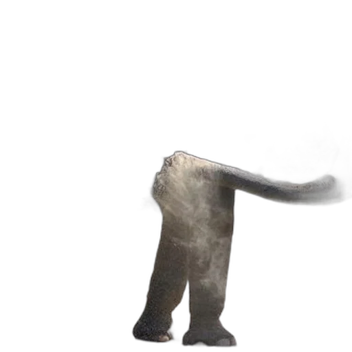 animal, creature, staff, hair, concept art, 3d render, photorealistic, fantasy art transparent PNG cut-out