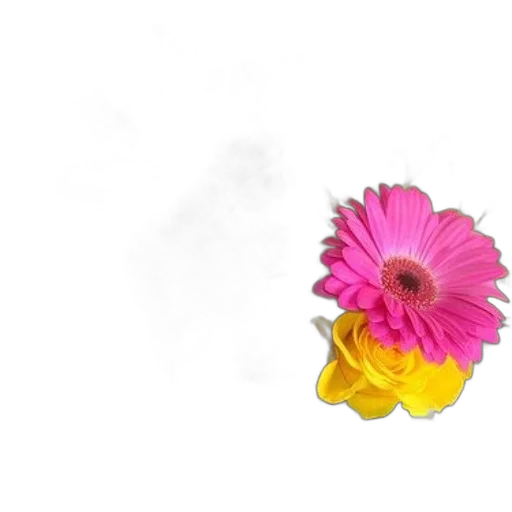 flower, jewelry, crown, dress, photorealistic, 3d render, pixel art, watercolor transparent PNG cut-out