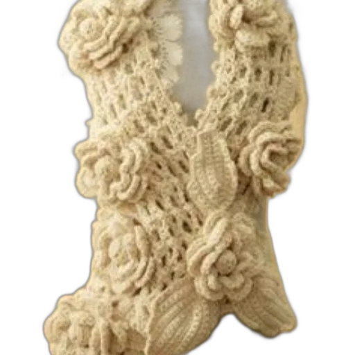 dress, jacket, jewelry, cream-colored, crocheted, vest, floral, patterns transparent PNG cut-out