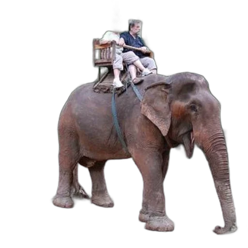 animal, staff, creature, car, concept art, photorealistic, 3d render, two transparent PNG cut-out