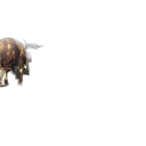 animal, creature, dragon, robot, 3d render, concept art, photorealistic, pixel art transparent PNG cut-out