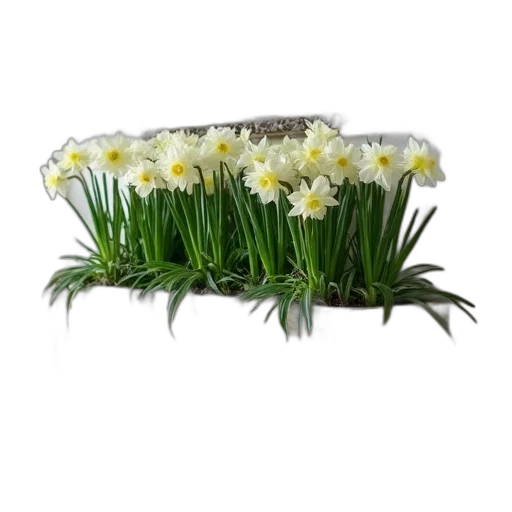 crown, flower, furniture, jewelry, photorealistic, 3d render, rustic, wooden transparent PNG cut-out