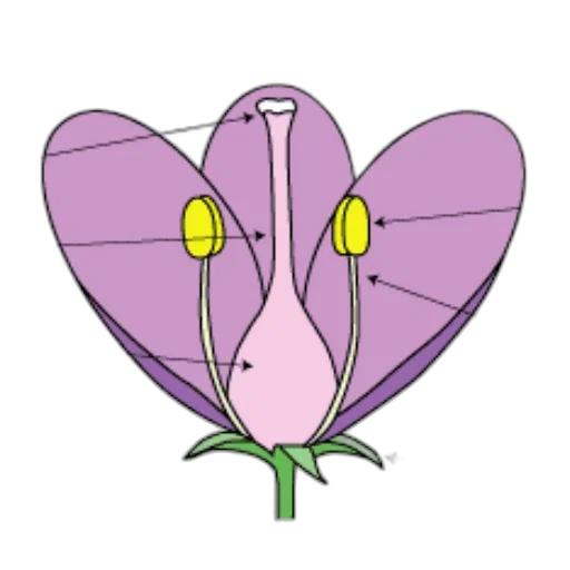flower, jewelry, crown, staff, concept art, cartoon, pixel art, 3d render transparent PNG cut-out