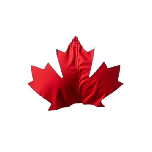 crown, flower, hat, staff, 3d render, white, mma, shorts transparent PNG cut-out