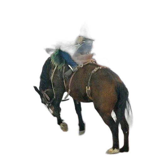 hat, animal, staff, robot, concept art, 3d render, photorealistic, oil painting transparent PNG cut-out
