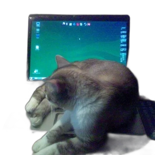 staff, creature, animal, jewelry, photorealistic, vaporwave, cyberpunk, cat transparent PNG cut-out