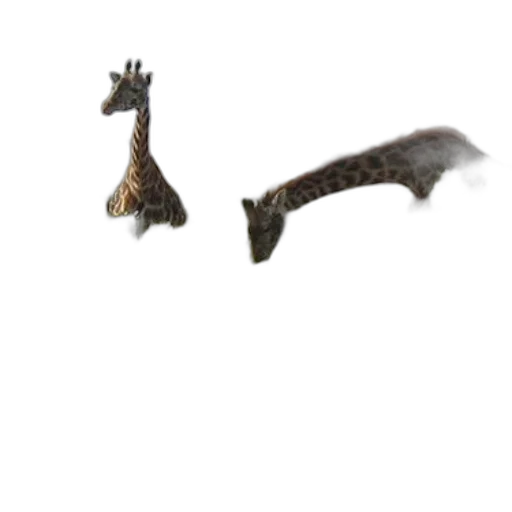 animal, dragon, creature, staff, concept art, 3d render, photorealistic, fantasy art transparent PNG cut-out