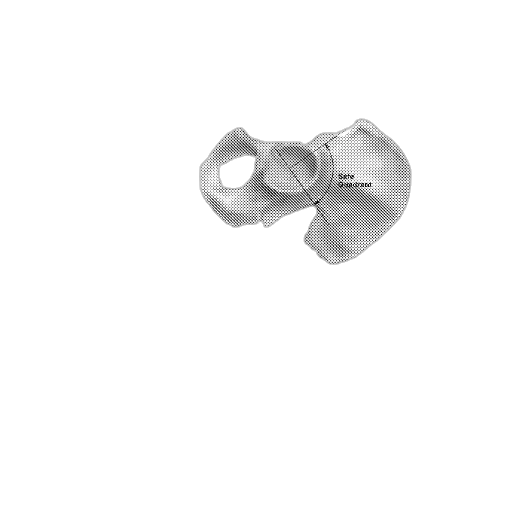 jewelry, mask, weapon, flower, 3d render, pencil sketch, photorealistic, image transparent PNG cut-out