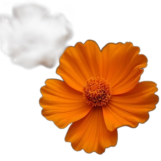 flower, crown, food, weapon, photorealistic, 3d render, monochrome, earth tones transparent PNG cut-out