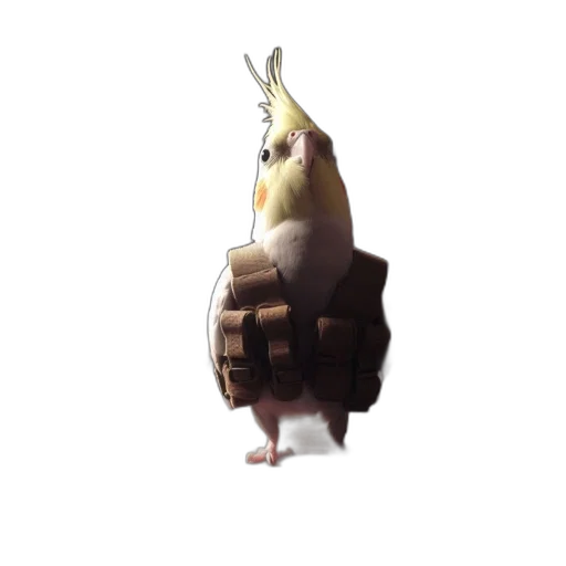 animal, staff, creature, weapon, concept art, 3d render, fantasy art, pixel art transparent PNG cut-out