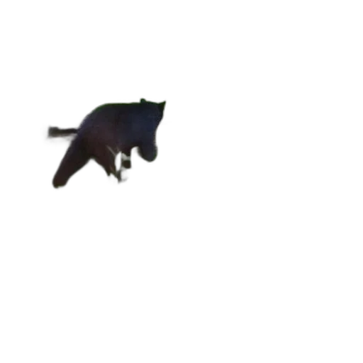 animal, creature, dragon, shoes, pixel art, concept art, 3d render, bear transparent PNG cut-out