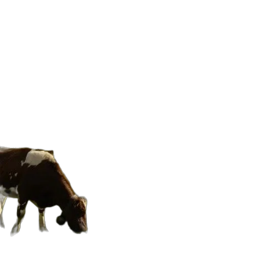 animal, creature, weapon, food, 3d render, concept art, photorealistic, pixel art transparent PNG cut-out