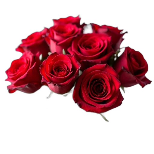 flower, jewelry, crown, 3d render, photorealistic, red, close-up, image transparent PNG cut-out