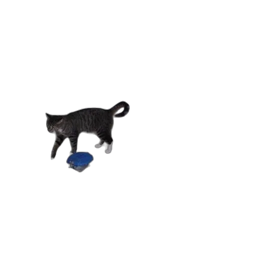 hat, animal, staff, umbrella, pixel art, blue, two, cats transparent PNG cut-out