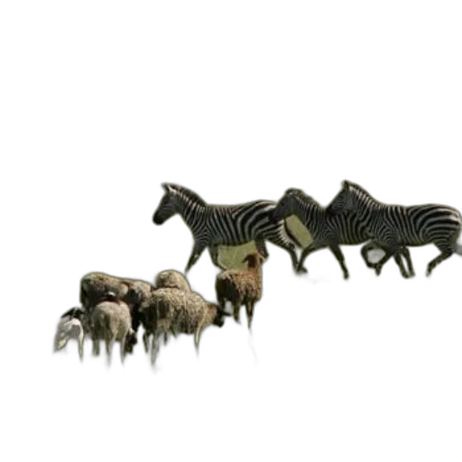 animal, creature, furniture, jewelry transparent PNG cut-out
