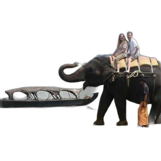 animal, car, staff, concept art, couple, rides, elephant, near transparent PNG cut-out