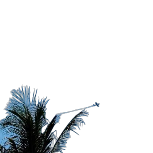 umbrella, tree, hair, staff, vaporwave, photorealistic, 3d render, concept art transparent PNG cut-out