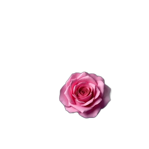 flower, jewelry, crown, hat, 3d render, photorealistic, vaporwave, pixel art transparent PNG cut-out