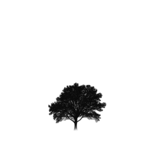 tree, crown, hair, dress, pixel art, photorealistic, 3d render, concept art transparent PNG cut-out