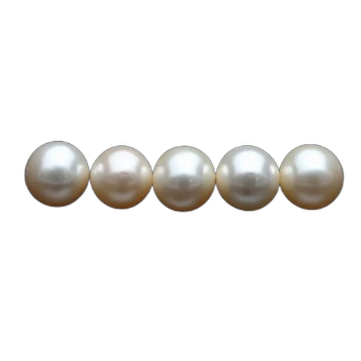 jewelry, crown, row, six, white, pearls, glossy, finish transparent PNG cut-out