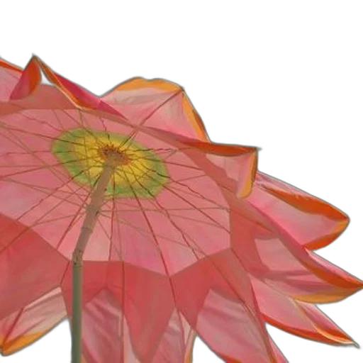 flower, umbrella, crown, jewelry, 3d render, photorealistic, watercolor, concept art transparent PNG cut-out