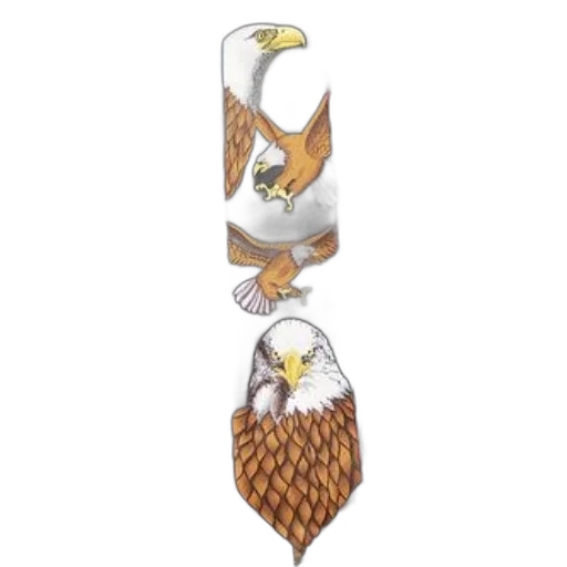 jewelry, crown, staff, person, wearing, red, white, checkered transparent PNG cut-out
