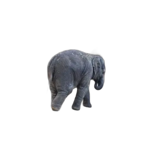 animal, creature, staff, hat, 3d render, photorealistic, concept art, baby transparent PNG cut-out