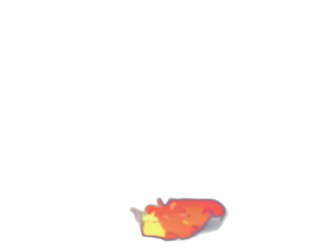 shoes, food, hat, crown transparent PNG cut-out