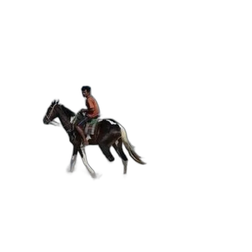 animal, creature, pixel art, 3d render, concept art, photorealistic, person, rides transparent PNG cut-out