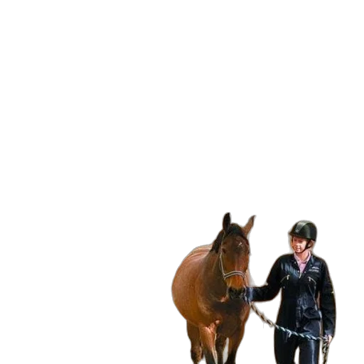 animal, staff, jacket, creature, photorealistic, 3d render, concept art, pixel art transparent PNG cut-out