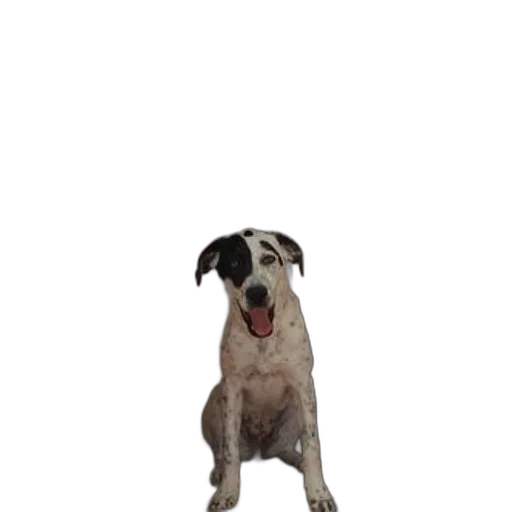 animal, staff, creature, robot, photorealistic, 3d render, pixel art, concept art transparent PNG cut-out